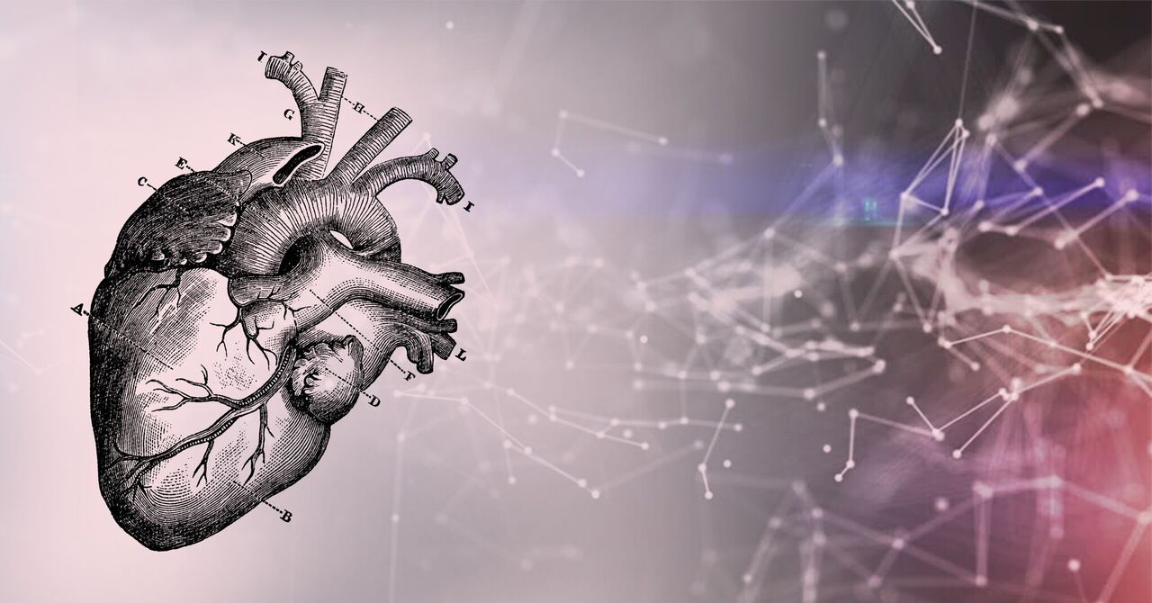 New Study Demonstrates Accuracy Of Fully Automated Ejection Fraction New study demonstrates accuracy of fully automated ejection fraction