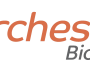 Orchestra BioMed Announces First Patients Enrolled in Virtue® SAB US Pivotal IDE Coronary Trial