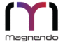 Magnendo Secures $18M Series A Financing to Transform Endovascular Access for Stroke Intervention